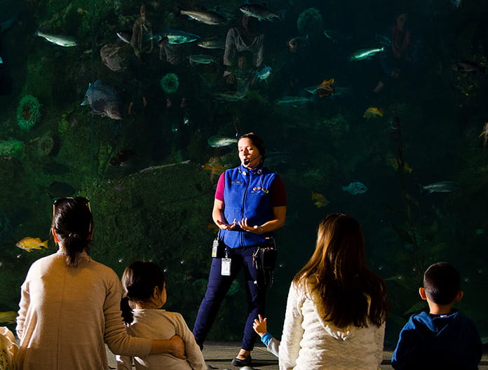 All About Our Washington Waters