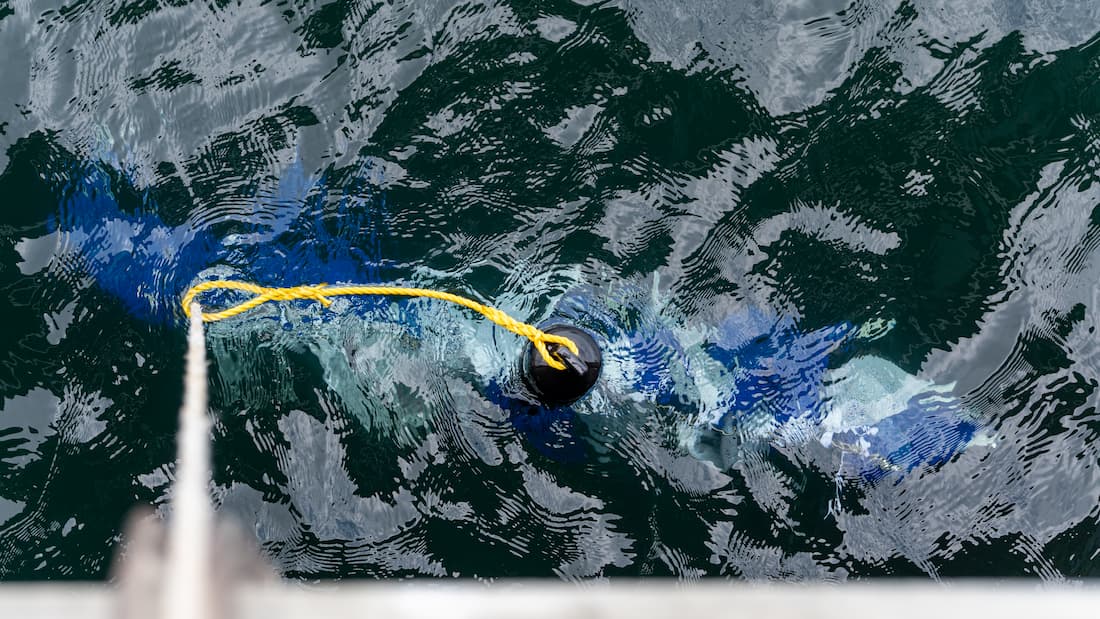 Mesh bags containing experimental replacements for thin-film plastics are lowered into the temperate marine waters located off the pier of the Seattle Aquarium.