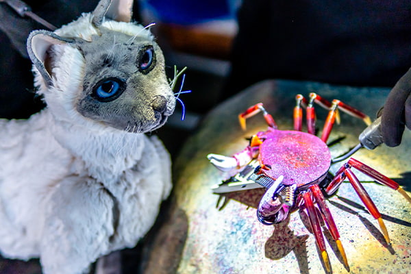 Puppet Show: Catastrophe by the Sea