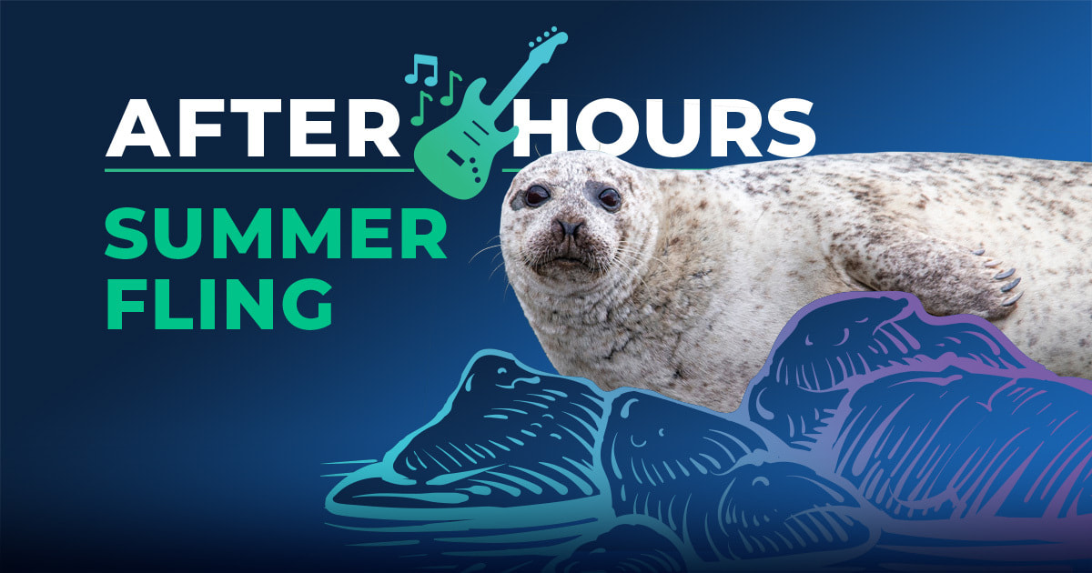 A graphic with a blue background featuring an image of a harbor seal atop an illustration of rocks. 