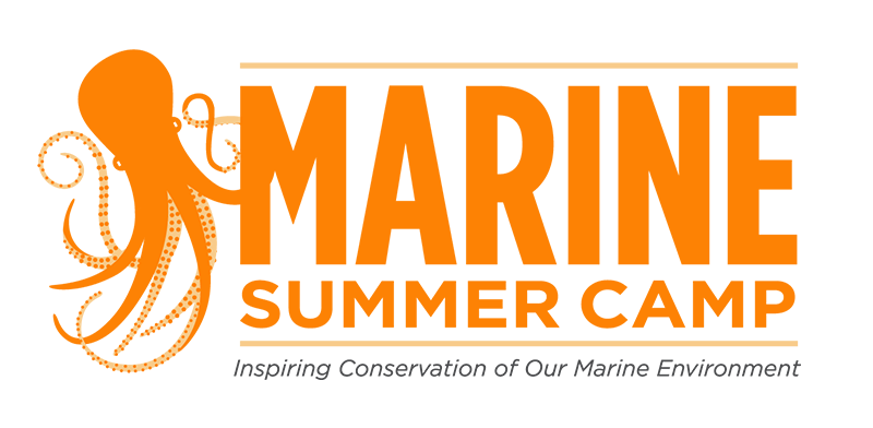 "Marine Summer Camp: Inspiring Conservation of Our Marine Environment" in orange text over a white background. An orange illustration of an octopus is on the left side of the image.