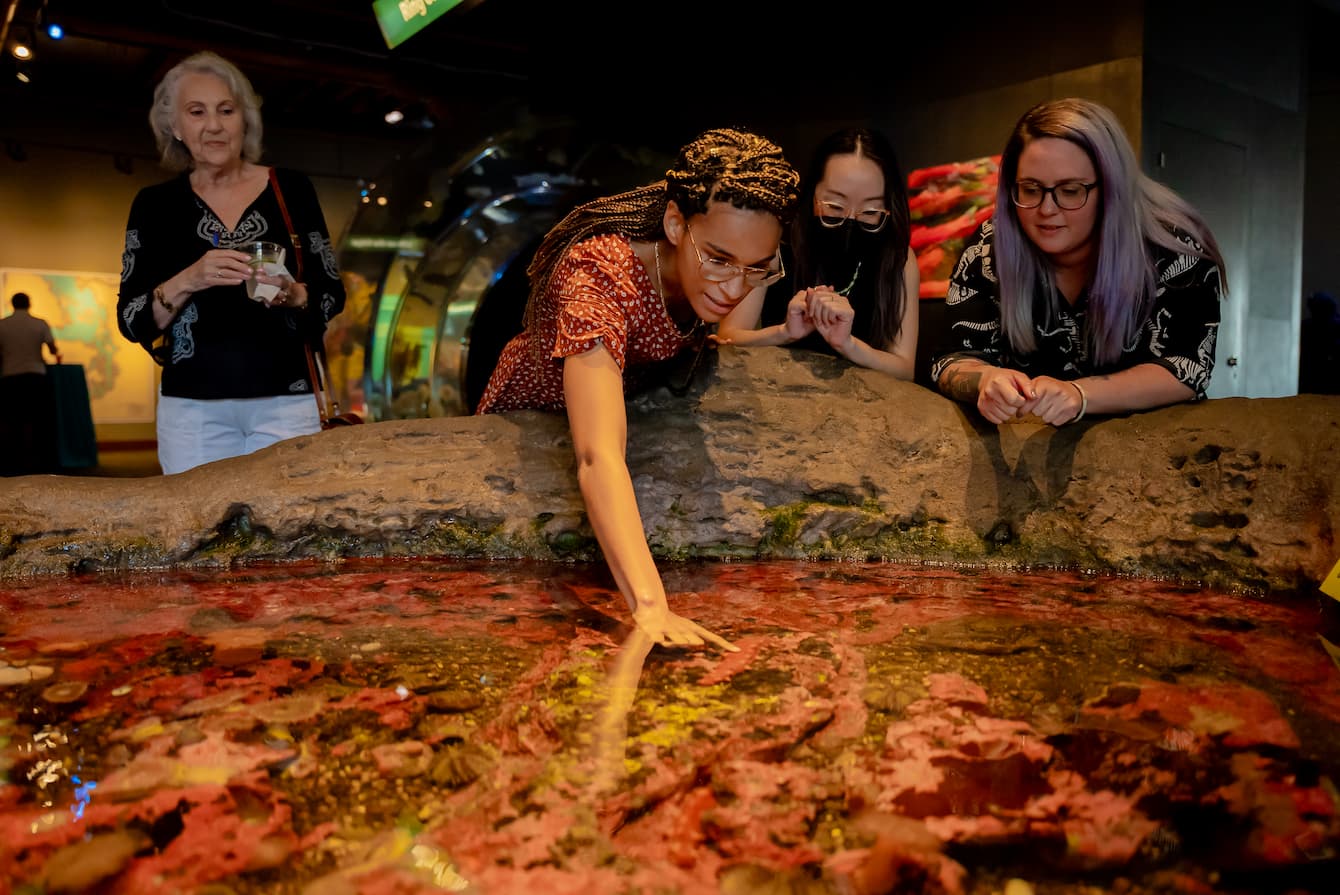 A woman reaching her hand into the touch pools as her friends watch.